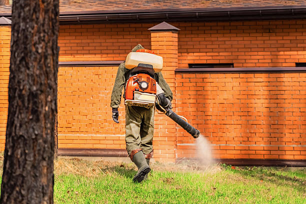 Trusted Emergency Pest Control service in New Square, NY - Nex Pest Control